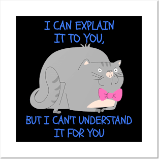 I CAN EXPLAIN IT TO YOU, BUT I CAN'T UNDERSTAND IT FOR YOU Posters and Art